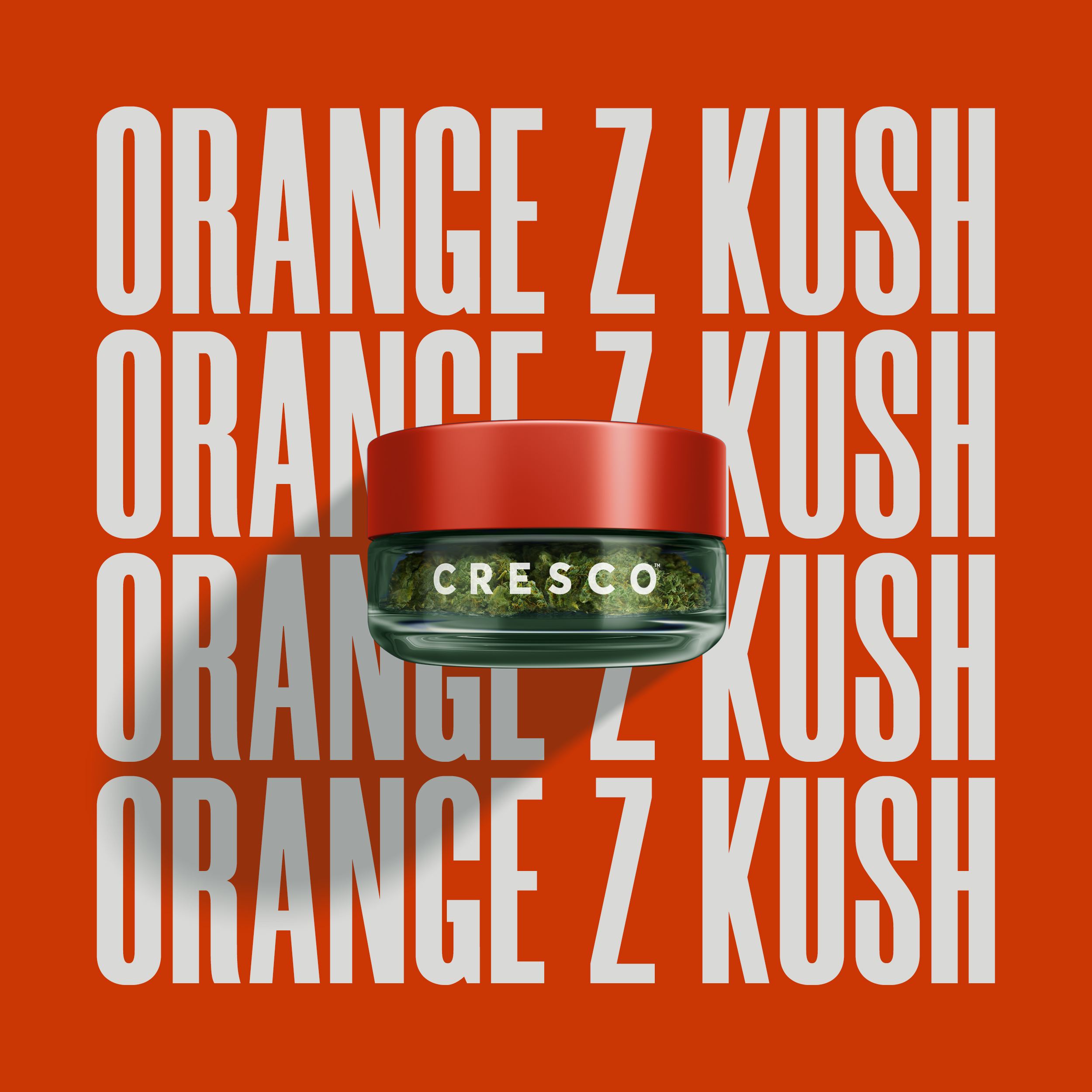 Cresco Cannabis: Orange Z Kush